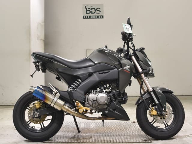 Kawasaki Z125 PRO