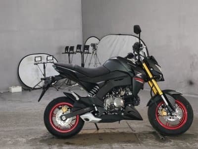 Kawasaki Z125 PRO