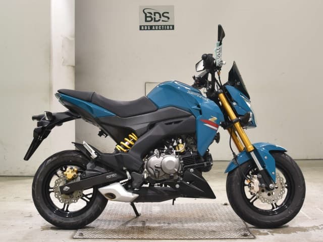 Kawasaki Z125 PRO