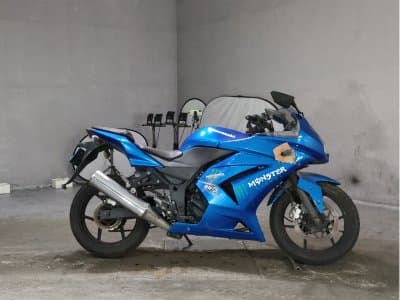 Kawasaki NINJA250R