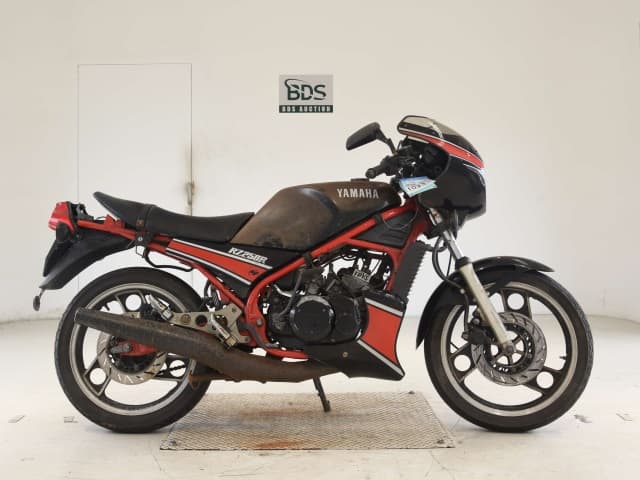 Yamaha RZ250R