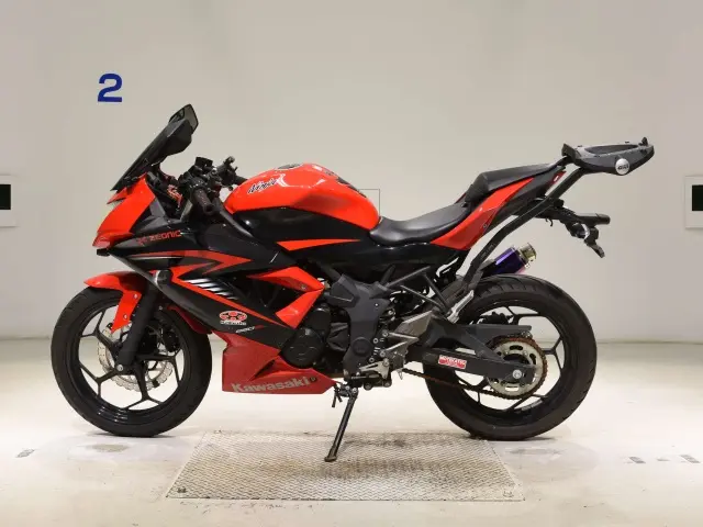 Kawasaki NINJA250 — фото 2