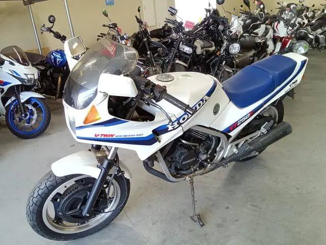 Honda VT250F XELVIS — фото 4