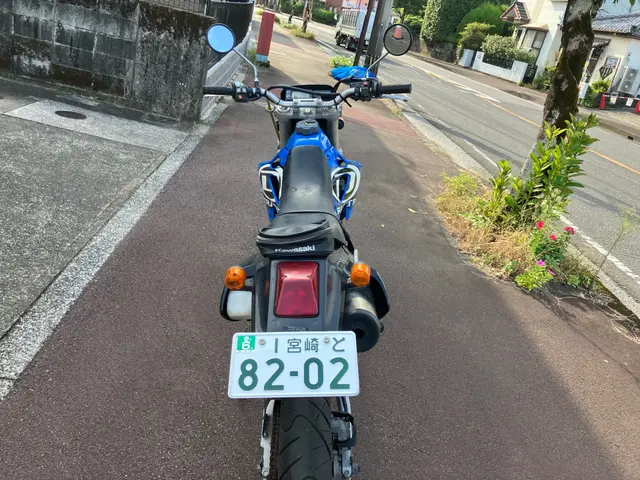 Kawasaki D-TRACKER250 — фото 2