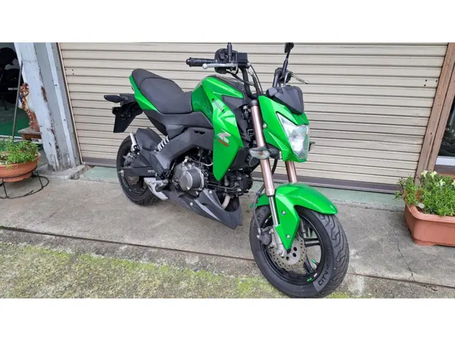 Kawasaki Z125 PRO — фото 3