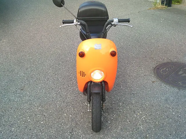Suzuki SHORT RIDE — фото 4