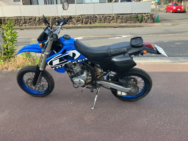 Kawasaki D-TRACKER250 — фото 3