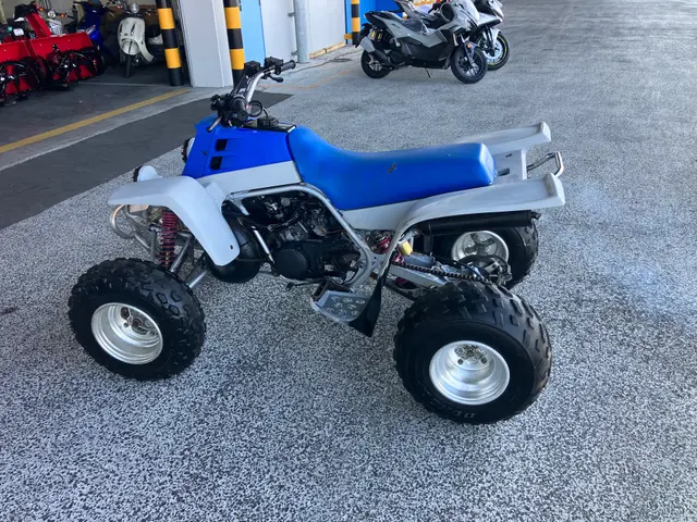 Yamaha YF350 BANSHEE — фото 2