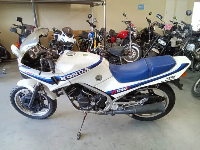 Honda VT250F XELVIS — фото 2