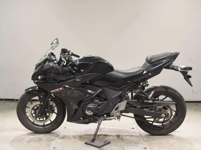 Suzuki GSX250R — фото 2