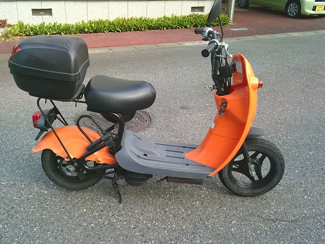 Suzuki SHORT RIDE — фото 2