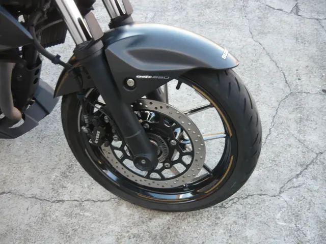 Suzuki GIXXER SF250 ABS — фото 4