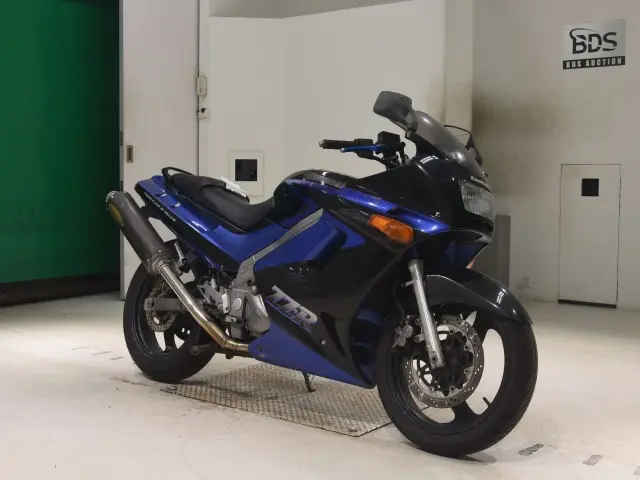 Kawasaki ZZ-R250 — фото 3