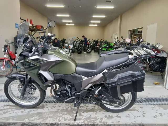 Kawasaki VERSYS-X 250A — фото 2