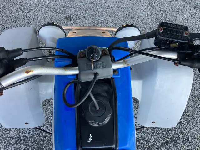 Yamaha YF350 BANSHEE — фото 3