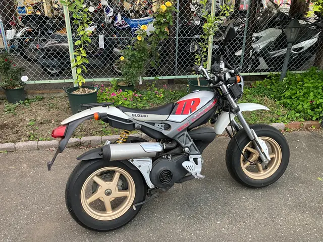 Suzuki STOMAJI 2 (TR110SD) — фото 2