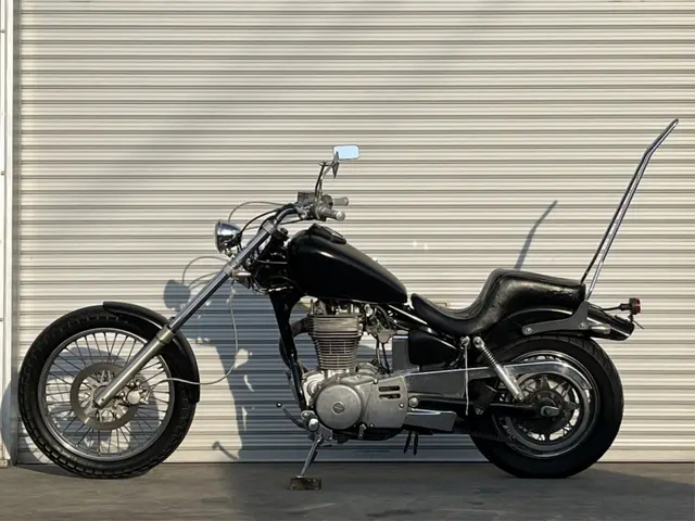 Suzuki SAVAGE LS650 — фото 4