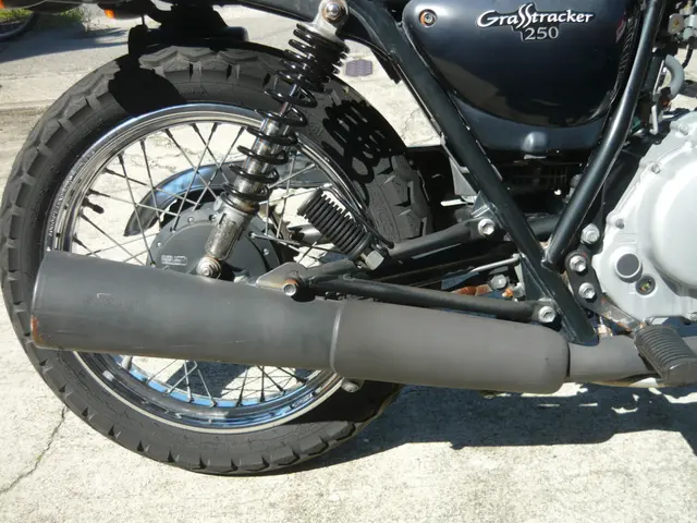 Suzuki GRASSTRACKER BIGBOY — фото 4