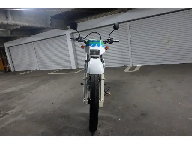 Suzuki DR250S — фото 2