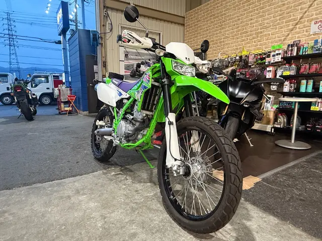 Kawasaki KLX250 — фото 3
