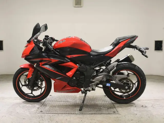 Kawasaki NINJA250 — фото 2