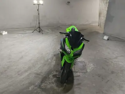 Kawasaki NINJA250 — фото 3