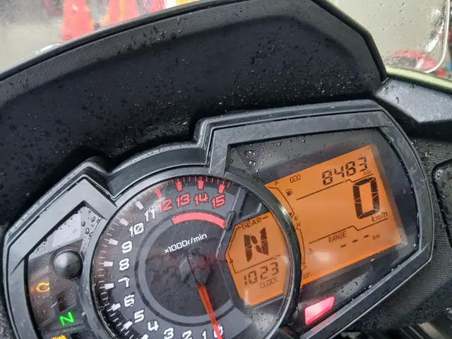 Kawasaki VERSYS-X 250A — фото 3