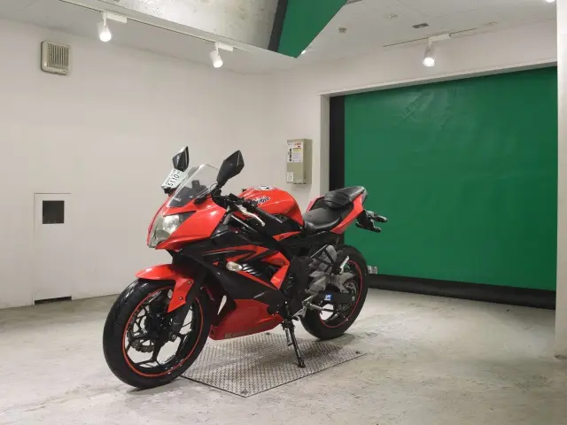 Kawasaki NINJA250 — фото 4