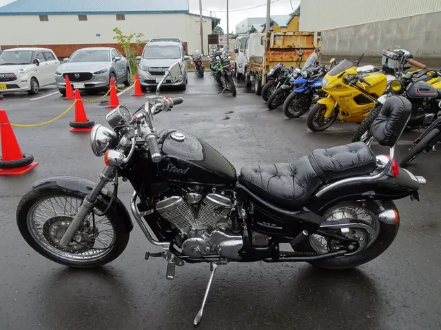 Honda STEED 400VLX — фото 2