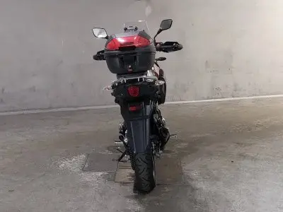 Suzuki V-STROM DL250 — фото 4