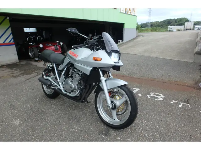 Suzuki GSX250S KATANA — фото 3