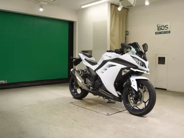 Kawasaki NINJA250 — фото 3