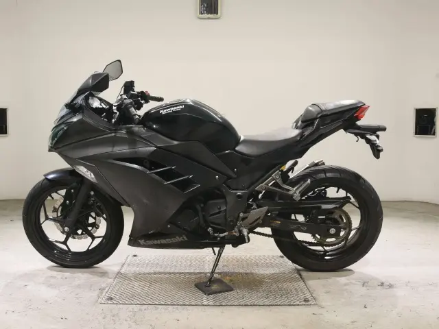 Kawasaki NINJA250 — фото 2