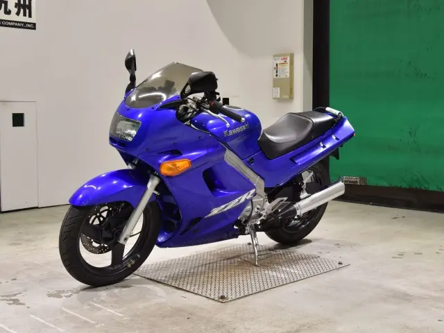 Kawasaki ZZ-R250 — фото 3