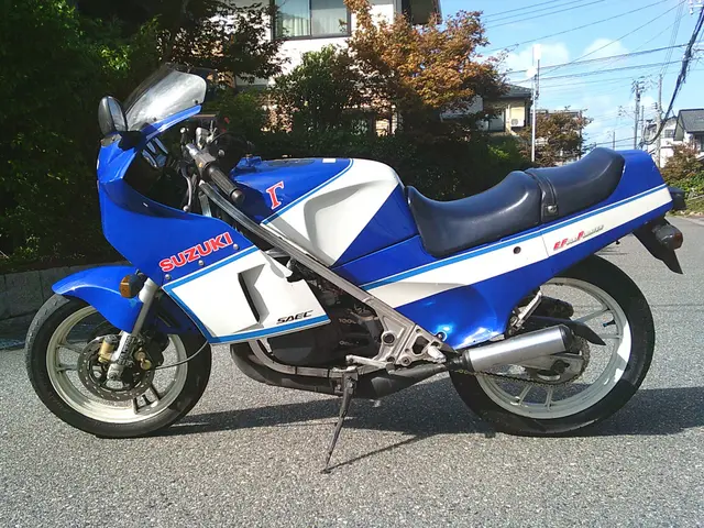 Suzuki RG250 GAMMA — фото 2