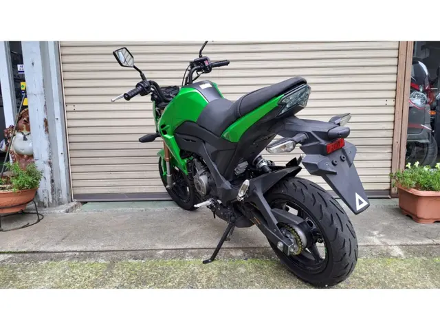 Kawasaki Z125 PRO — фото 4