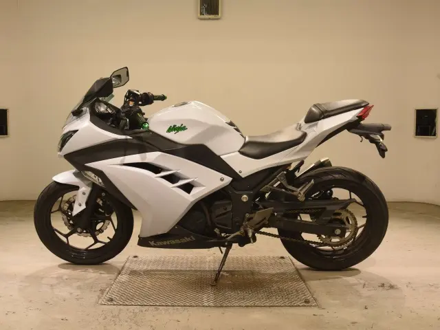 Kawasaki NINJA250 — фото 2
