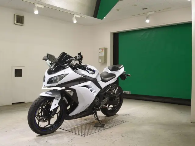 Kawasaki NINJA250 — фото 4