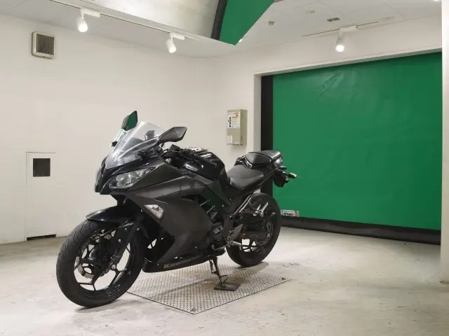 Kawasaki NINJA250 — фото 4