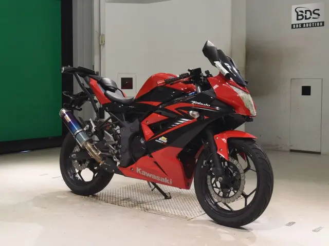 Kawasaki NINJA250 — фото 3