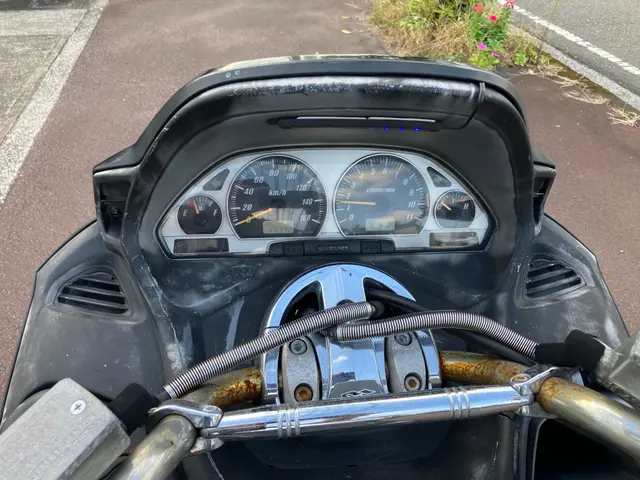 Suzuki SKYWAVE 250 — фото 4