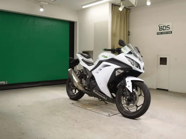 Kawasaki NINJA250 — фото 3