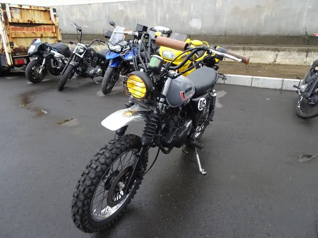 Suzuki GRASSTRACKER BIGBOY — фото 4