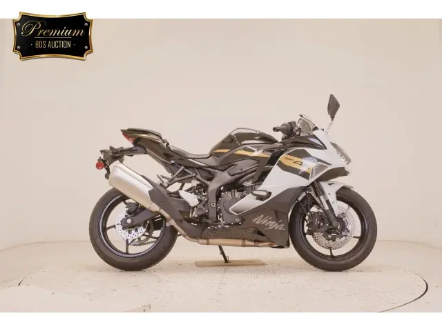 Kawasaki ZX-4R SE