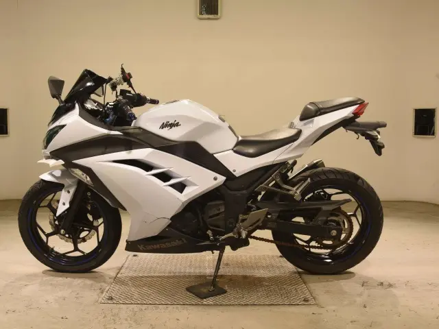 Kawasaki NINJA250 — фото 2