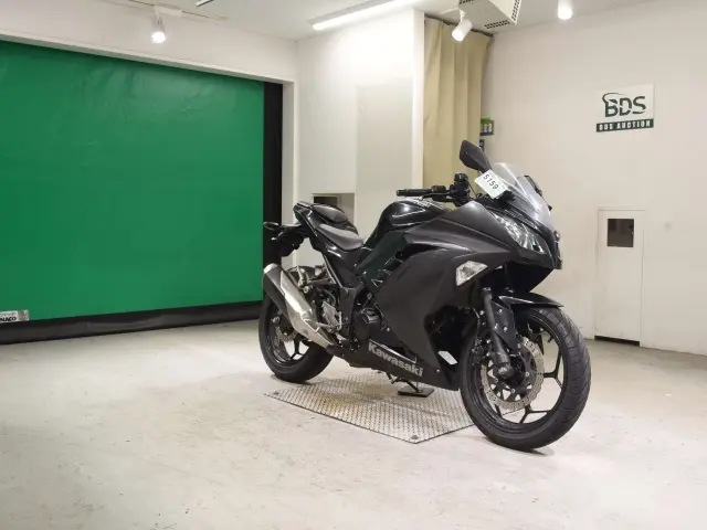 Kawasaki NINJA250 — фото 3