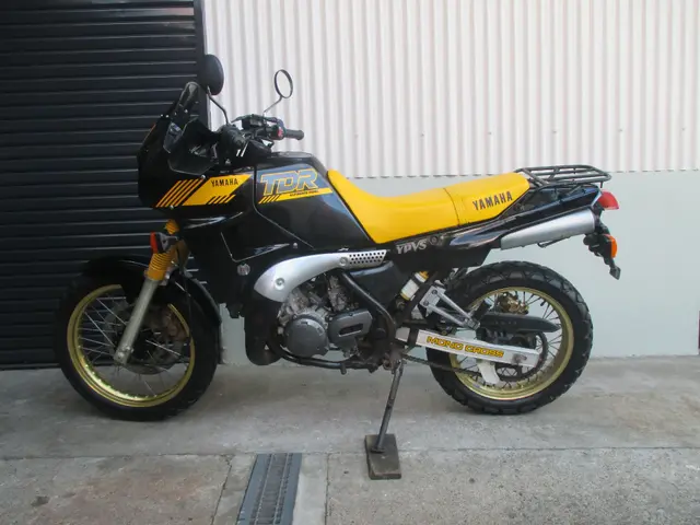 Yamaha TDR250 — фото 2