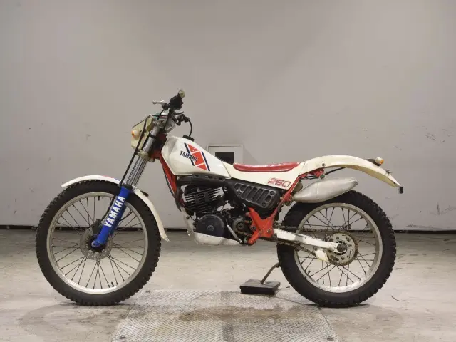 Yamaha TY250 — фото 2