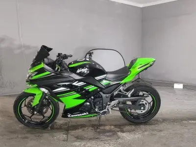 Kawasaki NINJA250 — фото 2