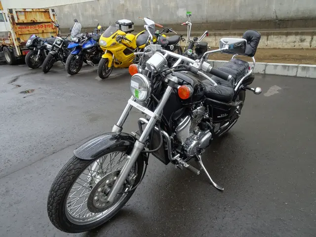 Honda STEED 400VLX — фото 4